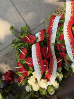 IMG 4373