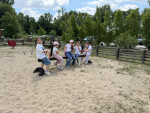 IMG 4253